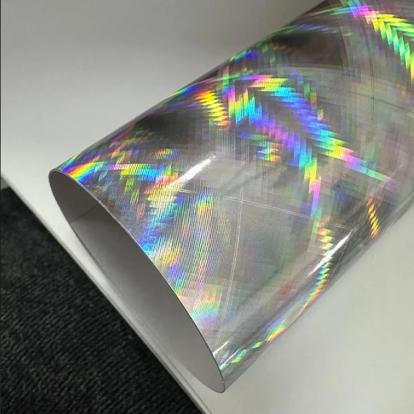 Holographic Motorcycle Vinyl-Matrix
